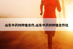 <b>ɽ����ҩ����ֲ����,ɽ����ҩ����ֲ������</b>