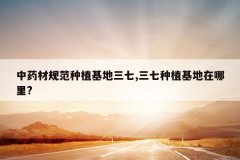 <b>��ҩ�Ĺ淶��ֲ��������,������ֲ����������?</b>