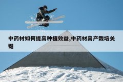 <b>��ҩ����������ֲЧ��,��ҩ�ĸ߲�����ؼ�</b>