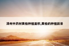 <b>������ҩ�Ļư���ֲ���,�ưص���ֲǰ��</b>