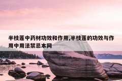 <b>��֦����ҩ�Ĺ�Ч������,��֦���Ĺ�Ч���������÷����ɱ���</b>