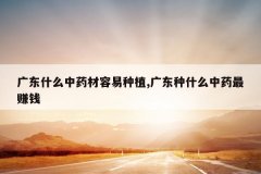 <b>�㶫ʲô��ҩ��������ֲ,�㶫��ʲô��ҩ��׬Ǯ</b>