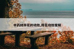 <b>��ҩ�ĺɻ��Ĺ�Ч,�ɻ���Ч��Ƶ</b>