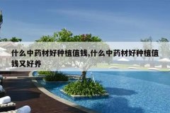 <b>ʲô��ҩ�ĺ���ֲֵǮ,ʲô��ҩ�ĺ���ֲֵǮ�ֺ���</b>