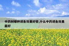 <b>ҩЧЩ,ʲôҩЧ</b>