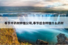 <b>�����ҩ����ֲ��˾,����ʺ���ֲʲôҩ��</b>