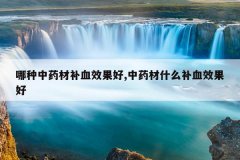 <b>������ҩ�Ĳ�ѪЧ����,��ҩ��ʲô��ѪЧ����</b>