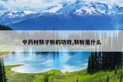 <b>��ҩ�����ӷ۵Ĺ�Ч,�����ʲô</b>