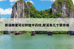 <b>��Ϫ���������ֲ��ҩ��,��Ϫ�м������г�</b>