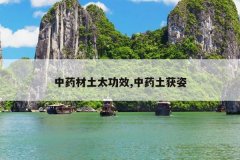 <b>��ҩ����̫��Ч,��ҩ������</b>