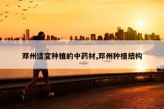 <b>����������ֲ����ҩ��,������ֲ�ṹ</b>