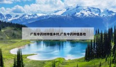 <b>�㶫��ҩ����ֲ���,�㶫��ҩ��ֲ����</b>