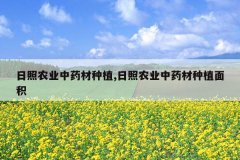 <b>����ũҵ��ҩ����ֲ,����ũҵ��ҩ����ֲ���</b>