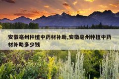 <b>����������ֲ��ҩ�Ĳ���,����������ֲ��ҩ�Ĳ�������Ǯ</b>