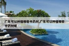 <b>�㶫������ֲ��Щ��ҩ��,�㶫������ֲ��Щ��ҩ����</b>