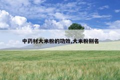 <b>��ҩ�Ĵ��׷۵Ĺ�Ч,���׷۱���</b>