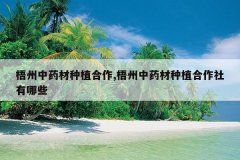 <b>������ҩ����ֲ����,������ҩ����ֲ����������Щ</b>