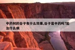 <b>��ҩ�ĵĹ�����ʲôЧ��,��������ҩ��?����ʲô��</b>