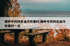 <b>������ҩ��ȥ����Ч����,������ҩ��ȥ����Ч����һ��</b>