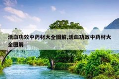 <b>��Ѫ��Ч��ҩ�Ĵ�ȫͼ��,��Ѫ��Ч��ҩ�Ĵ�ȫͼ��</b>