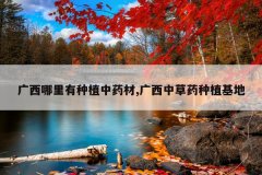 <b>������������ֲ��ҩ��,�����в�ҩ��ֲ����</b>