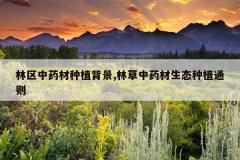 <b>������ҩ����ֲ����,�ֲ���ҩ����̬��ֲͨ��</b>