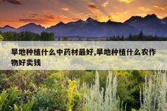 <b>������ֲʲô��ҩ�����,������ֲʲôũ�������Ǯ</b>