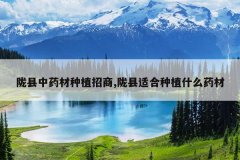 <b>¤����ҩ����ֲ����,¤���ʺ���ֲʲôҩ��</b>