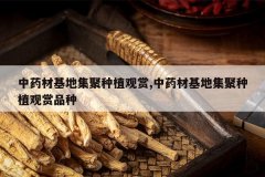 <b>��ҩ�Ļ��ؼ�����ֲ����,��ҩ�Ļ��ؼ�����ֲ����Ʒ��</b>