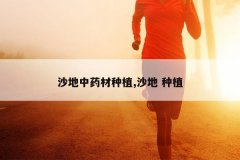 <b>ɳ����ҩ����ֲ,ɳ�� ��ֲ</b>