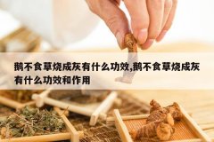 <b>�첻ʳ���ճɻ���ʲô��Ч,�첻ʳ���ճɻ���ʲô��Ч������</b>