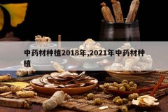 <b>��ҩ����ֲ2018��,2021����ҩ����ֲ</b>