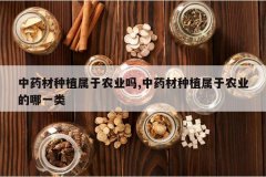 <b>��ҩ����ֲ����ũҵ��,��ҩ����ֲ����ũҵ����һ��</b>