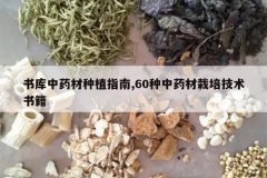 <b>�����ҩ����ֲָ��,60����ҩ�����༼���鼮</b>