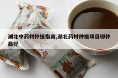 <b>������ҩ����ֲָ��,����ҩ����ֲ��Ŀ�������</b>