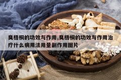 <b>����ͩ�Ĺ�Ч������,����ͩ�Ĺ�Ч����������ʲô���÷���������</b>