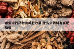 <b>��Щ��ҩҩ���м���Ч��,ʲô��ҩ���м��ʹ�Ч</b>