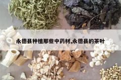 <b>��������ֲ��Щ��ҩ��,�����صĲ�Ҷ</b>