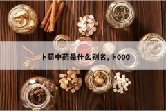 <b>������ҩ��ʲô����,��000</b>