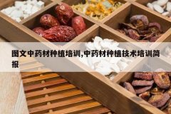 <b>ͼ����ҩ����ֲ��ѵ,��ҩ����ֲ������ѵ��</b>