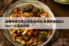 <b>ɣ����ֲ���湫˾�绰����,ɣ����ֲ����2000һ���������</b>