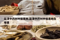 <b>�ν���ҩ����ֲ����,�ν���ҩ����ֲ����������</b>