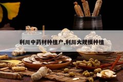 <b>������ҩ����ֲ��,�������ģ��ֲ</b>