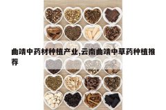 <b>������ҩ����ֲ��ҵ,���������в�ҩ��ֲ�Ƽ�</b>