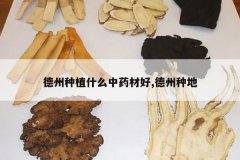 <b>������ֲʲô��ҩ�ĺ�,�����ֵ�</b>