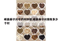 <b>������Ӵ���ҩ����ֲ,������Ӵ����ж��ٸ���</b>