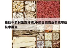 <b>�ƶ���ҩ����̬��ֲ,��ҩ��̬ũҵ������Щ����Ҫ��</b>