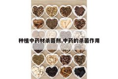 <b>��ֲ��ҩ��ɱ����,��ҩ��ɱ������</b>