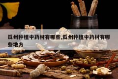 <b>������ֲ��ҩ������Щ,������ֲ��ҩ������Щ�ط�</b>