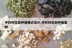 <b>��ҩ����̬��ֲģʽ���,��ҩ����̬��ֲ����</b>